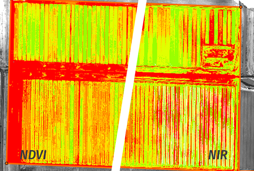 Pix4Dag NDVI index